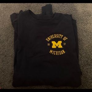 University of Michigan spirit jersey